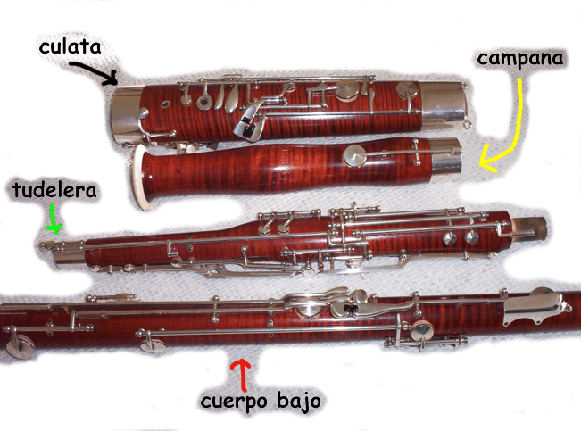 Moosmann partes